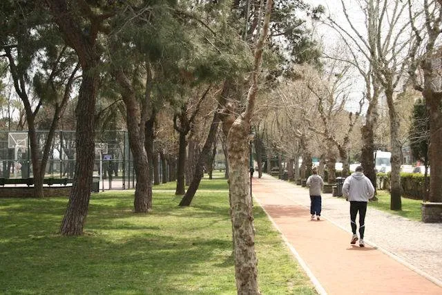 Abbasağa Korsan Taksi